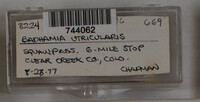 Image Associated With the Occurence